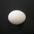 甜点_熟鸡蛋可以通过自然条件存储，选用的猪肉主要包括白条猪