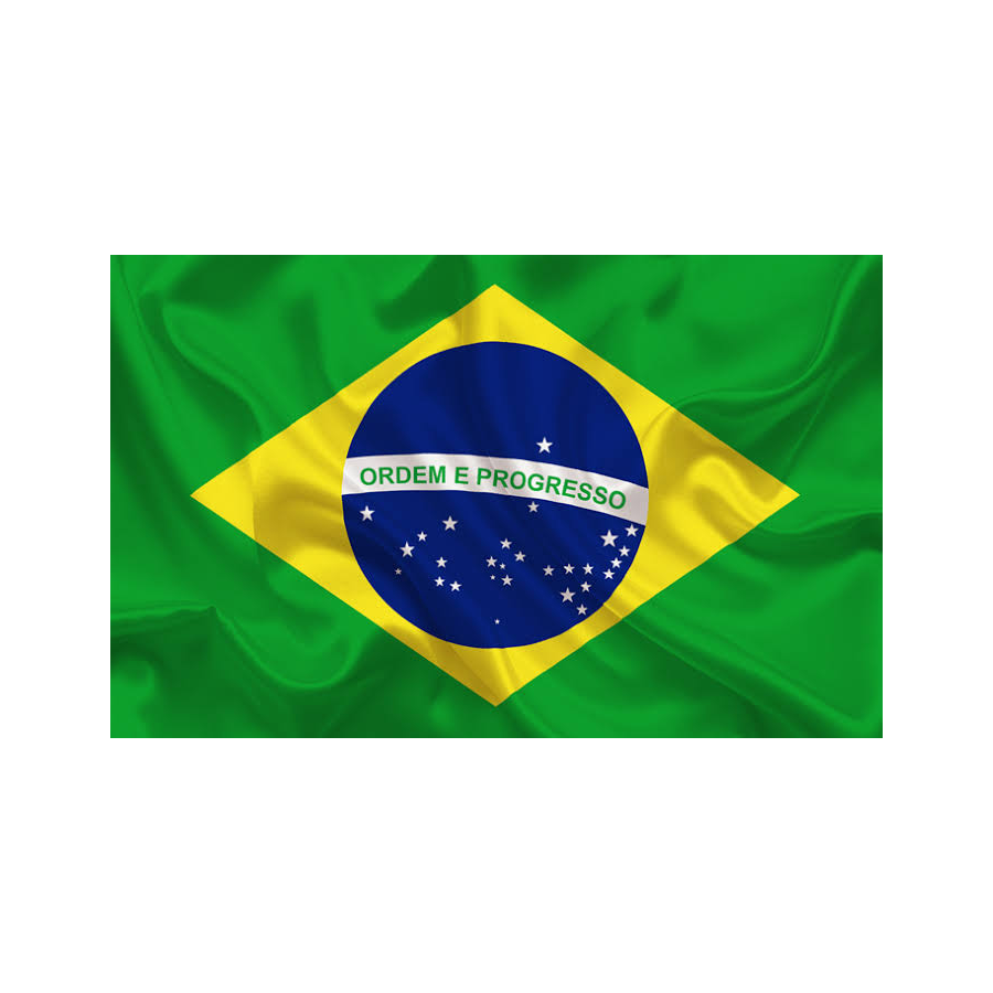 BRAZIL2020