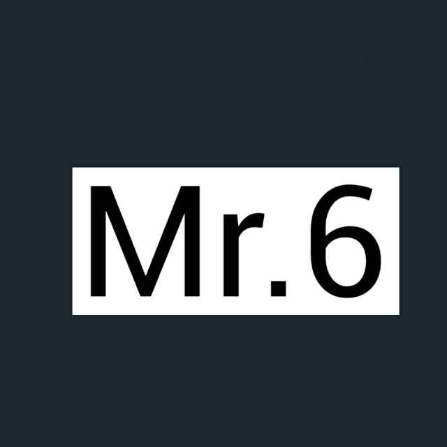 Mr.6